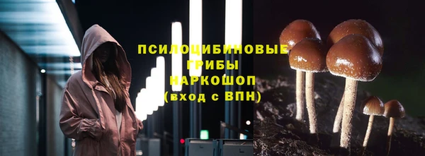 соль ск Алексеевка