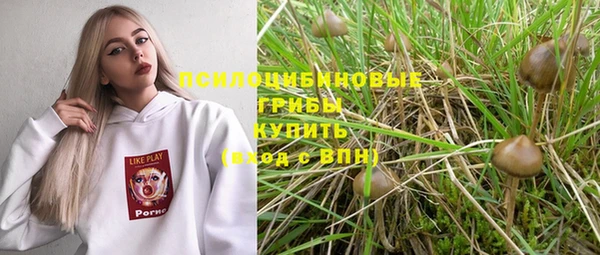 соль ск Алексеевка