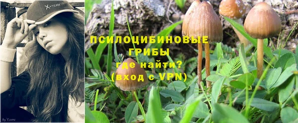 метамфетамин Алексин