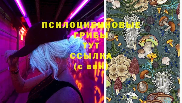 метамфетамин Алексин