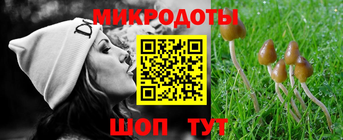 Галлюциногенные грибы Psilocybe  наркота  Дивногорск  Вход с VPN 