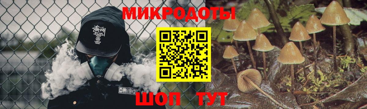 Псилоцибиновые грибы GOLDEN TEACHER Дивногорск